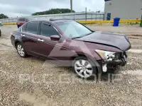 2010 Honda Accord фото