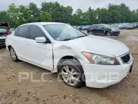 2010 Honda Accord фото