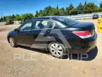 2010 Honda Accord photo