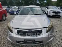 2010 Honda Accord photo