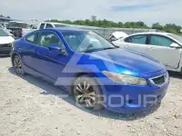 2010 Honda Accord фото