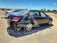 2010 Honda Accord photo