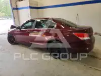 2010 Honda Accord фото