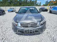 2010 Honda Accord фото