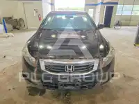 2010 Honda Accord фото