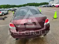 2010 Honda Accord photo