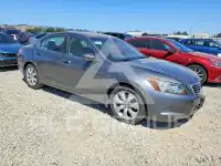 2010 Honda Accord фото