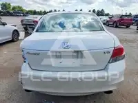 2010 Honda Accord фото
