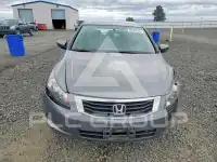 2010 Honda Accord фото