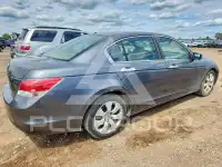 2010 Honda Accord photo