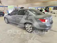 2010 Honda Accord фото