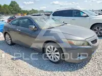 2010 Honda Accord фото