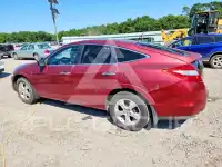 2010 Honda Accord фото