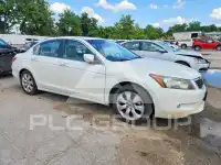 2010 Honda Accord фото