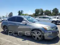 2010 Honda Accord photo