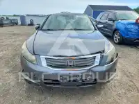 2010 Honda Accord photo