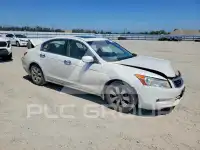 2010 Honda Accord фото