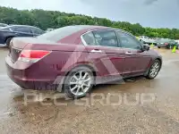 2010 Honda Accord photo