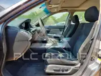 2010 Honda Accord фото