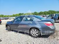 2010 Honda Accord фото