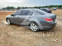 2010 Honda Accord фото
