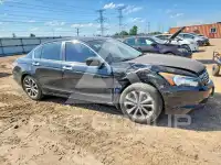 2010 Honda Accord фото