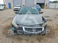 2010 Honda Accord photo