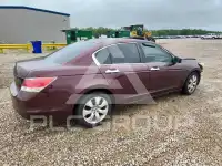 2010 Honda Accord фото