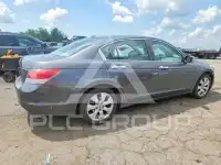 2010 Honda Accord фото