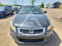 2010 Honda Accord photo