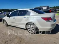 2010 Honda Accord фото