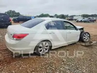 2010 Honda Accord фото