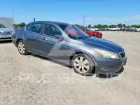 2010 Honda Accord фото