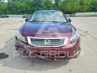 2010 Honda Accord фото