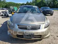 2010 Honda Accord фото