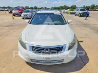 2010 Honda Accord photo