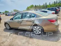 2010 Honda Accord фото