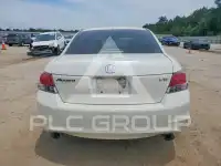 2010 Honda Accord photo