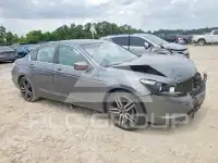 2010 Honda Accord photo