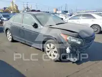 2010 Honda Accord photo