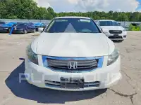 2010 Honda Accord фото