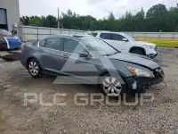 2010 Honda Accord photo