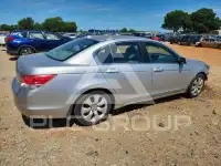 2010 Honda Accord фото