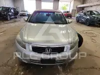 2010 Honda Accord photo