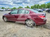 2010 Honda Accord фото