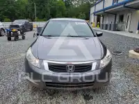 2010 Honda Accord фото