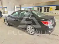 2010 Honda Accord фото