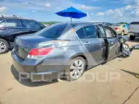 2010 Honda Accord фото