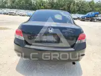 2010 Honda Accord фото