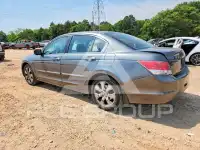 2010 Honda Accord фото